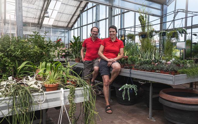 Blumen Güth Breisach